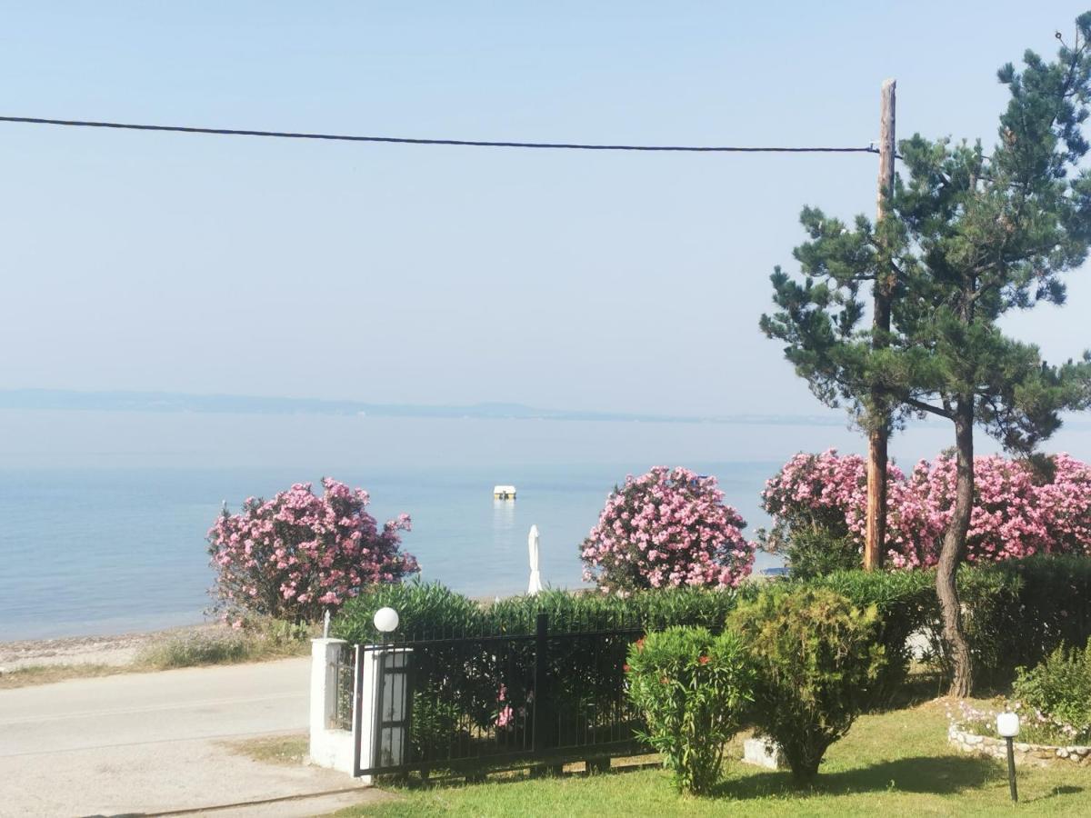 Metamorphosis - Halkidiki Apartment On The Beach Metamorfosi  Exterior foto