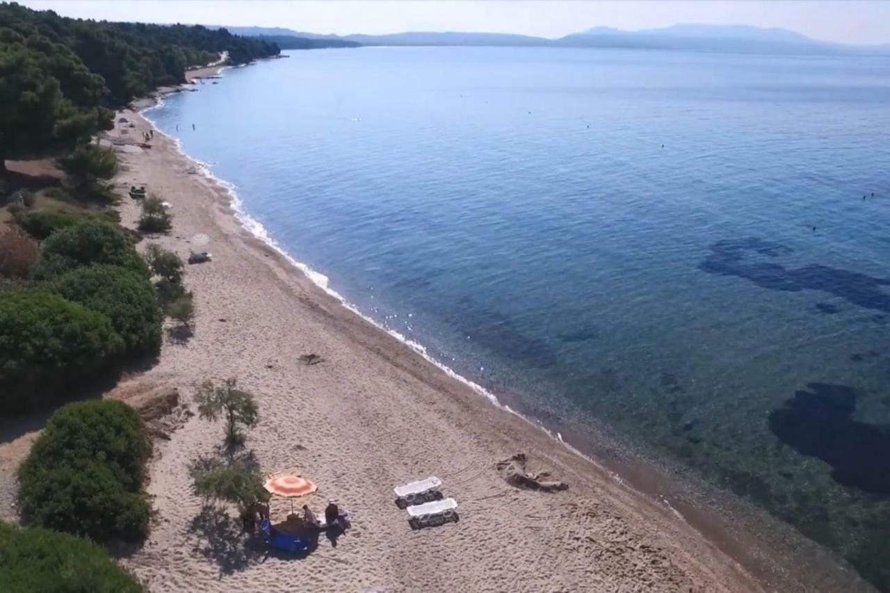Metamorphosis - Halkidiki Apartment On The Beach Metamorfosi  Exterior foto